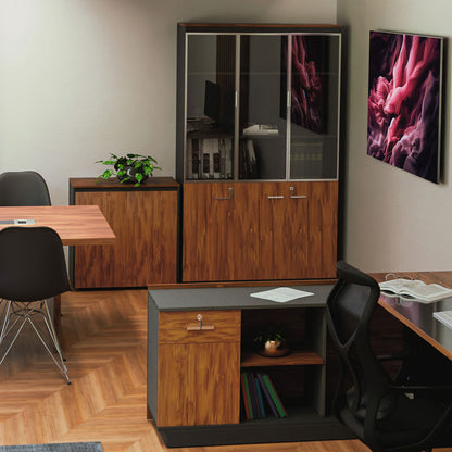 Ντουλάπα Γραφείου Επαγγελματική με Γυάλινες Πόρτες Oscar Καρυδί-Ανθρακί 120x40x200