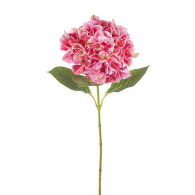 Κλαδί Ορτανσία Φούξια 69εκ