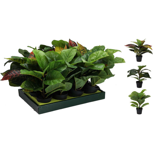 Γλαστράκι με Φυτό 30x38εκ 3 Σχδ