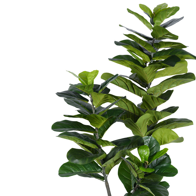 Διακοσμητικό Φυτό Fiddlehead I σε Γλάστρα Πράσινο PP Υ180εκ