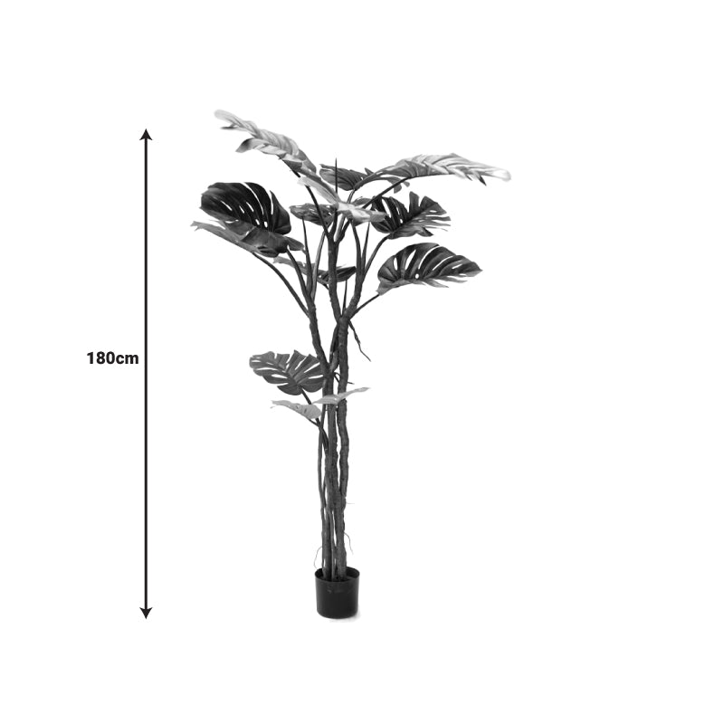Διακοσμητικό Φυτό σε Γλάστρα Monstera III Πράσινο PP Υ180εκ