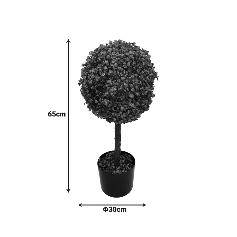 Διακοσμητικό Φυτό Bolla I σε Γλάστρα Πράσινο PP Φ30x65