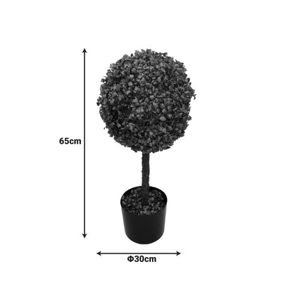 Διακοσμητικό Φυτό Bolla I σε Γλάστρα Πράσινο PP Φ30x65