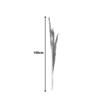 Διακοσμητικό Φυτό Pampas Beroun Σετ των 3 Τεμ σε Φυσική Απόχρωση Υ140εκ