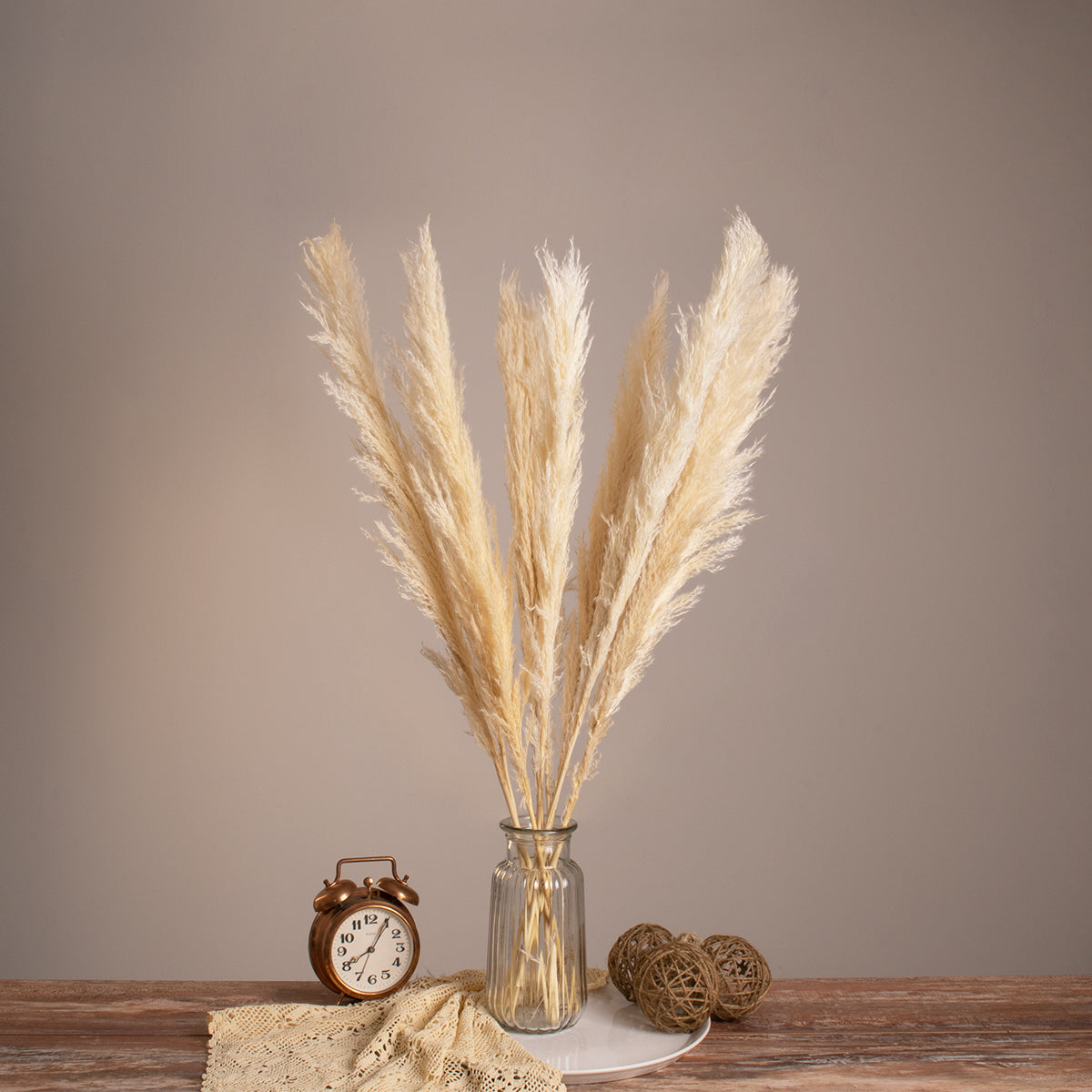 PAMPASGRASS 36507 Αποξηραμένο Διακοσμητικό Μπουκέτο Γρασίδι της Πάμπας - Μπεζ - Μ20 x Π20 x Υ80 - Πακέτο 10 Τεμαχίων