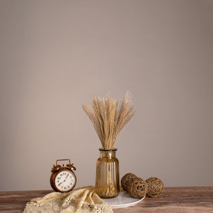 MISCANTHUS 36534 Αποξηραμένο Διακοσμητικό Μπουκέτο Μίσχανθος - Μπεζ - Μ20 x Π20 x Υ40 - Πακέτο 20 Τεμαχίων