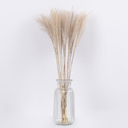 MISCANTHUS 36535 Αποξηραμένο Διακοσμητικό Μπουκέτο Μίσχανθος - Μπεζ - Μ20 x Π20 x Υ60 - Πακέτο 20 Τεμαχίων