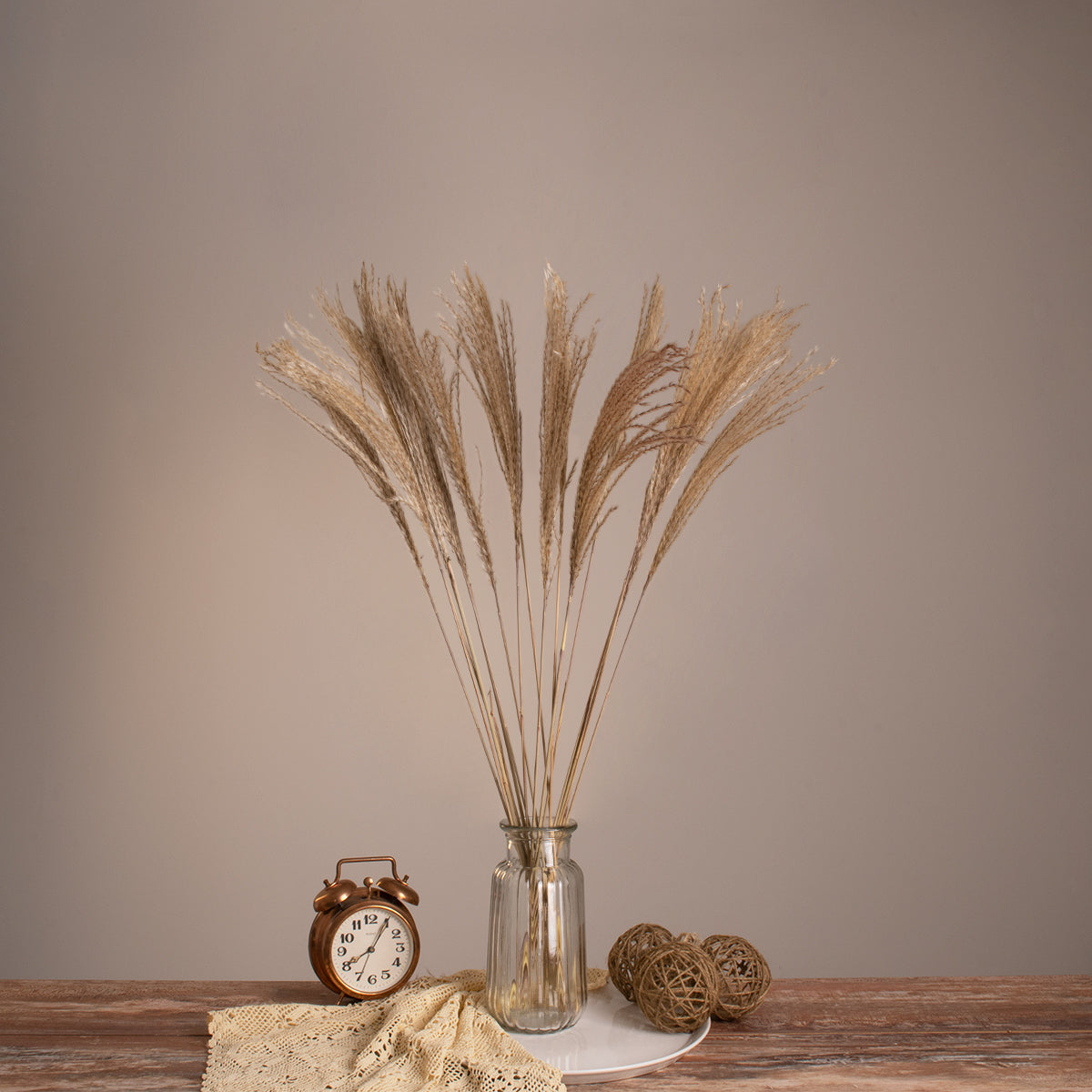 MISCANTHUS 36536 Αποξηραμένο Διακοσμητικό Μπουκέτο Μίσχανθος - Μπεζ - Μ20 x Π20 x Υ80 - Πακέτο 20 Τεμαχίων