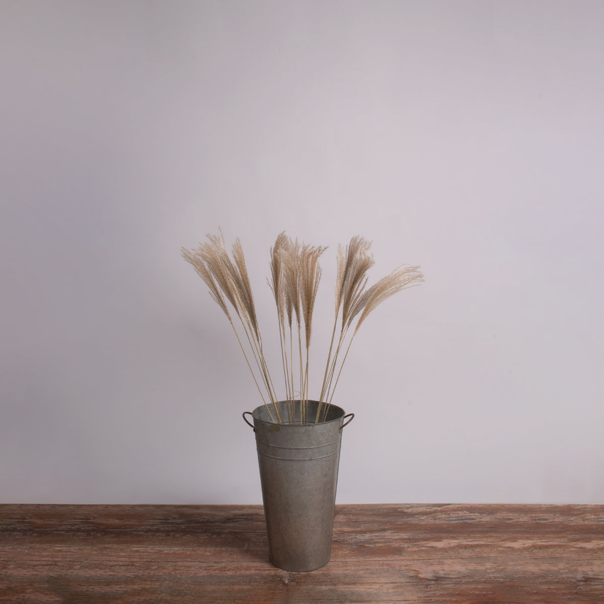 MISCANTHUS 36537 Αποξηραμένο Διακοσμητικό Μπουκέτο Μίσχανθος - Μπεζ - Μ20 x Π20 x Υ100 - Πακέτο 20 Τεμαχίων