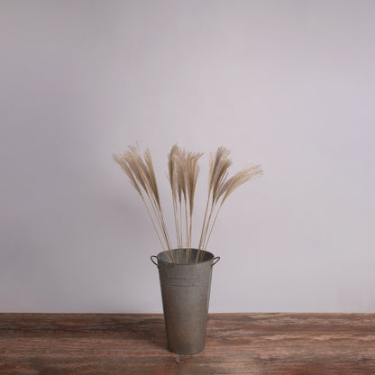 MISCANTHUS 36537 Αποξηραμένο Διακοσμητικό Μπουκέτο Μίσχανθος - Μπεζ - Μ20 x Π20 x Υ100 - Πακέτο 20 Τεμαχίων