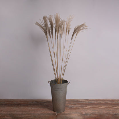 MISCANTHUS 36539 Αποξηραμένο Φυτό Μίσχανθος - Μπουκέτο Διακοσμητικών Κλαδιών Μπεζ Υ140εκ - Σετ 10 τμχ