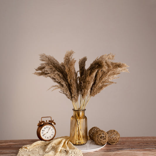 PAMPASGRASS 36544 Αποξηραμένο Διακοσμητικό Μπουκέτο Γρασίδι της Πάμπας - Μπεζ & Καφέ - Μ20 x Π20 x Υ60 - Πακέτο 20 Τεμαχίων