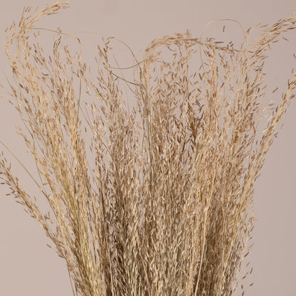 SILVERHAIRGRASS 36545 Αποξηραμένο Φυτό Ασημένια Χλόη - Μπουκέτο Διακοσμητικών Κλαδιών Μπεζ Υ60cm