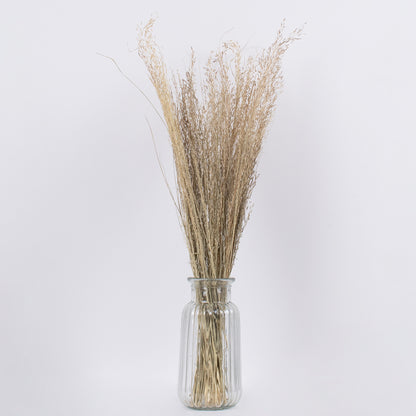 SILVERHAIRGRASS 36545 Αποξηραμένο Φυτό Ασημένια Χλόη - Μπουκέτο Διακοσμητικών Κλαδιών Μπεζ Υ60cm