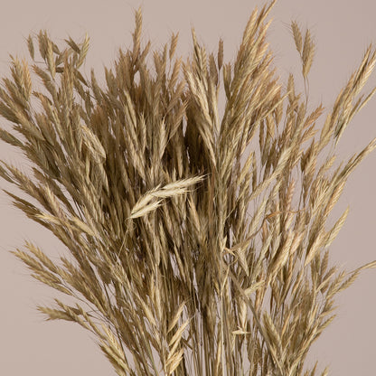 WHEAT 36548 Αποξηραμένο Φυτό Σίτος - Μπουκέτο Διακοσμητικών Κλαδιών Μπεζ - Πράσινο Υ60cm