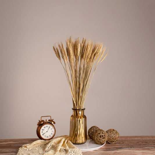 BARLEY 36551 Αποξηραμένο Διακοσμητικό Μπουκέτο Κριθάρι - Μπεζ - Μ20 x Π20 x Υ60 - Πακέτο 100 Τεμαχίων