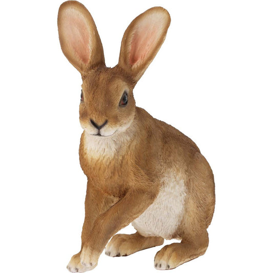 Λαγός Πολυρεζίν 21x11x28