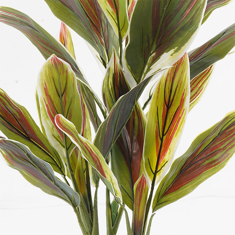 Διακοσμητικό Φυτό σε Γλάστρα Cycas Πράσινο Φ55x80