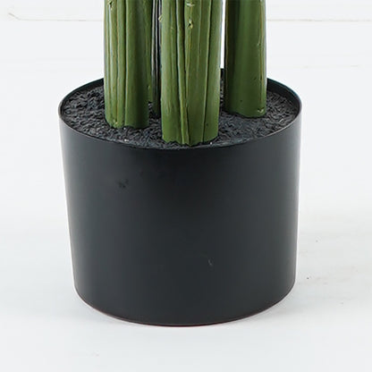 Διακοσμητικό Φυτό σε Γλάστρα Aglaonema Πράσινο Φ80x150