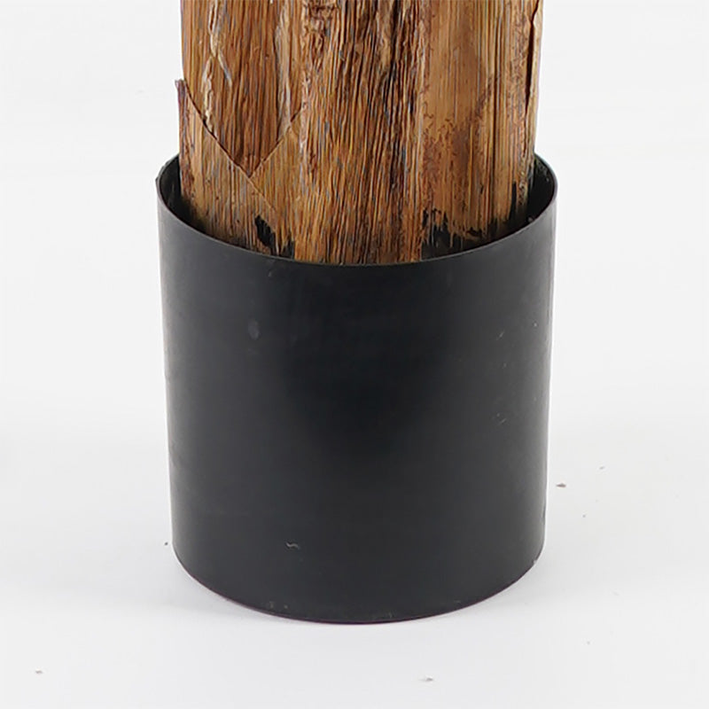 Διακοσμητικό Φυτό σε Γλάστρα Banana Tree Πράσινο Φ53x190