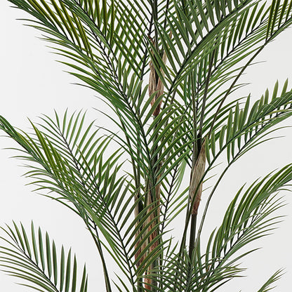 Διακοσμητικό Φυτό σε Γλάστρα Kwai Πράσινο Φ125x180