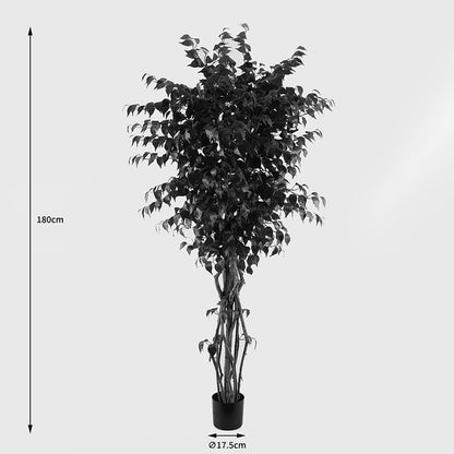 Διακοσμητικό Φυτό σε Γλάστρα Banyan Πράσινο Φ95x180