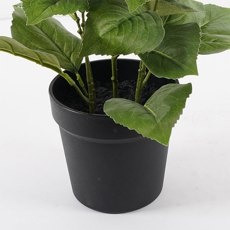 Διακοσμητικό Φυτό σε Γλάστρα Hydrangea Ροζ Φ35x50