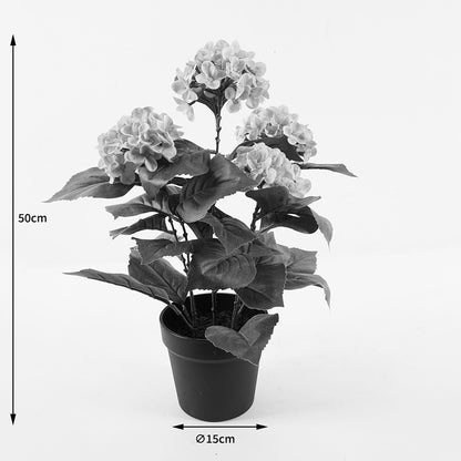 Διακοσμητικό Φυτό σε Γλάστρα Hydrangea Ροζ Φ35x50