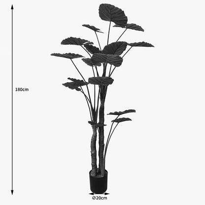 Διακοσμητικό Φυτό σε Γλάστρα Taro Plant Πράσινο Φ90x180