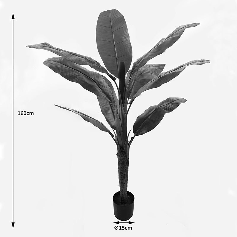 Διακοσμητικό Φυτό σε Γλάστρα Banono Πράσινο Φ95x160
