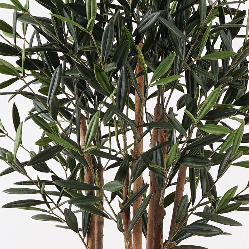 Διακοσμητικό Φυτό σε Γλάστρα Olia Πράσινο Φ52x120