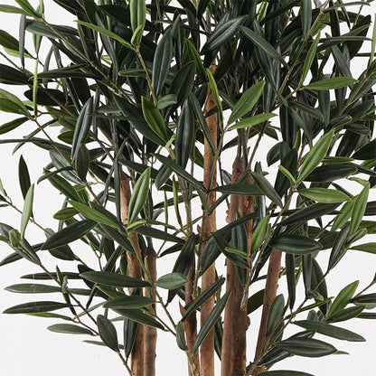 Διακοσμητικό Φυτό σε Γλάστρα Olia Πράσινο Φ52x120