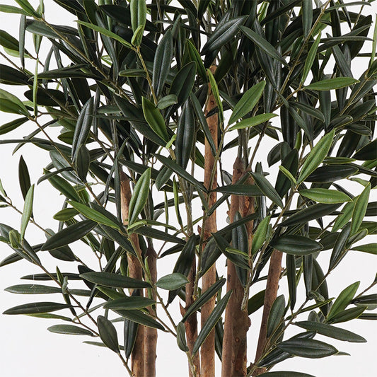 Διακοσμητικό Φυτό σε Γλάστρα Olia Πράσινο Φ52x120