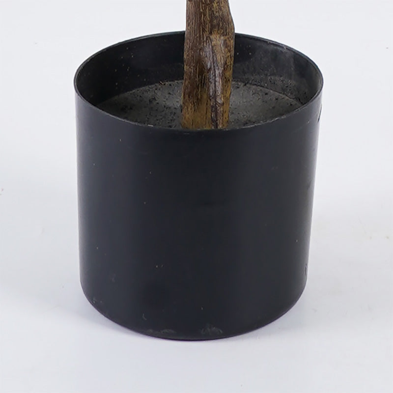 Διακοσμητικό Φυτό σε Γλάστρα Ficus Lyrata Πράσινο Φ70x130