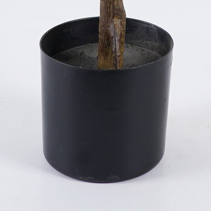 Διακοσμητικό Φυτό σε Γλάστρα Ficus Lyrata Πράσινο Φ70x130