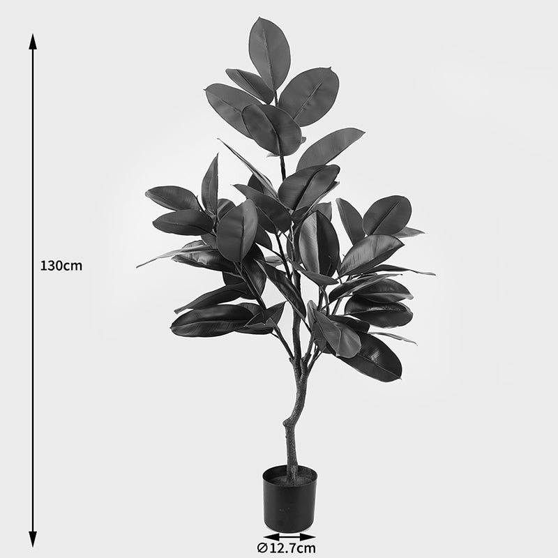 Διακοσμητικό Φυτό σε Γλάστρα Ficus Lyrata Πράσινο Φ70x130