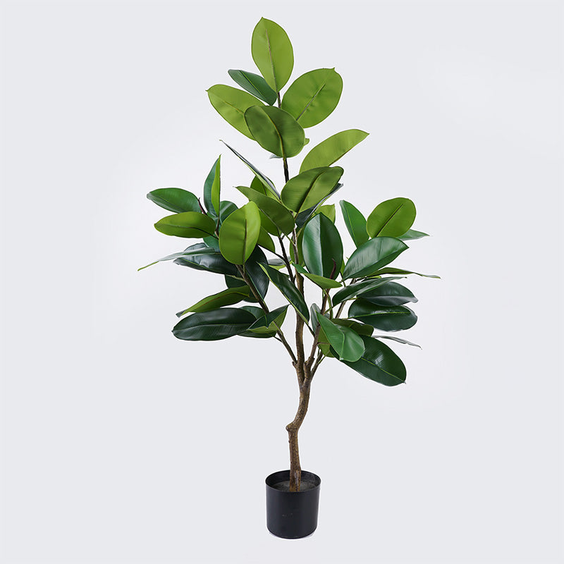 Διακοσμητικό Φυτό σε Γλάστρα Ficus Lyrata Πράσινο Φ70x130
