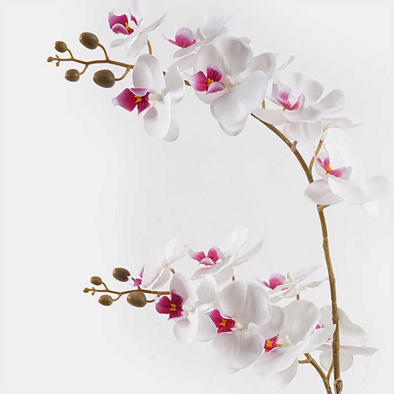 Διακοσμητικό Φυτό σε Γλάστρα Οrchid White 36x17x65