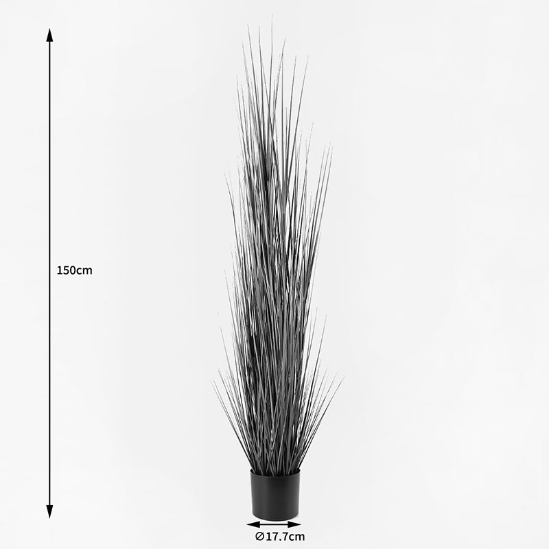 Διακοσμητικό Φυτό σε Γλάστρα Βoxwood Πράσινο Φ46x150