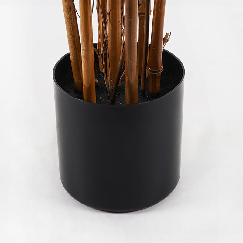 Διακοσμητικό Φυτό σε Γλάστρα Rhapis Palm Πράσινο Φ80x180