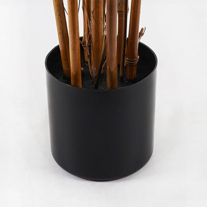 Διακοσμητικό Φυτό σε Γλάστρα Rhapis Palm Πράσινο Φ80x180