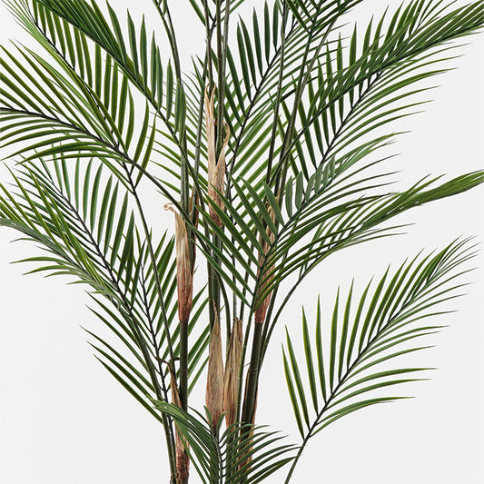 Διακοσμητικό Φυτό σε Γλάστρα Kwai Πράσινο Φ92x150