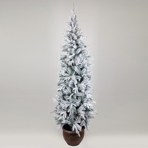 ΔΕΝΤΡΟ ΕΛΑΤΟ ΧΙΟΝΙΣΜΕΝΟ ΣΤΟΚΧΟΛΜΗ ΜΕ ΓΛΑΣΤΡΑΚΙ 73x73x210