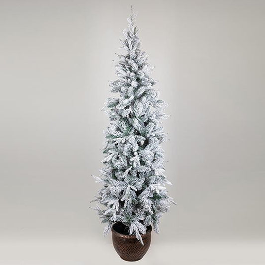 ΔΕΝΤΡΟ ΕΛΑΤΟ ΧΙΟΝΙΣΜΕΝΟ ΣΤΟΚΧΟΛΜΗ ΜΕ ΓΛΑΣΤΡΑΚΙ 73x73x210