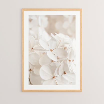 Πίνακας Belo με Ψηφιακή Εκτύπωση και Πλαίσιο 33x1.5x48