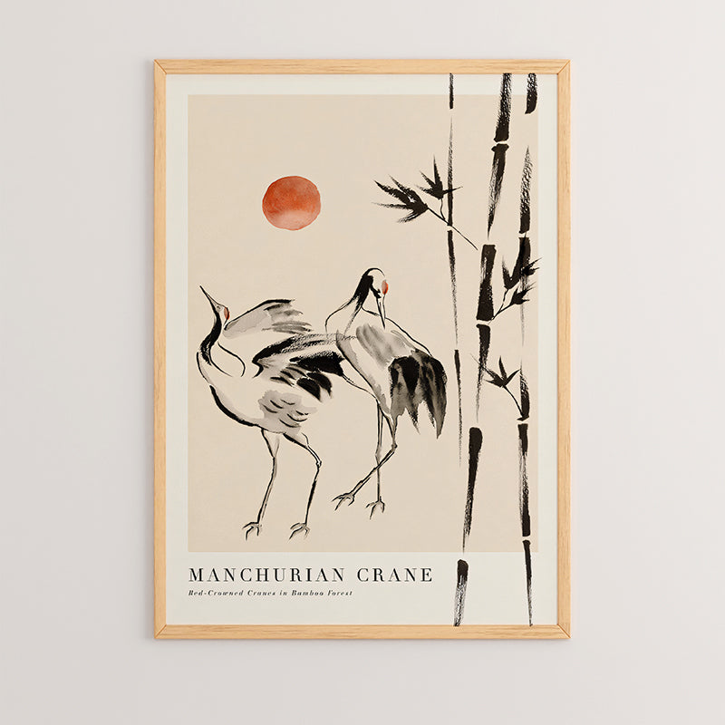 Πίνακας Birdo με Ψηφιακή Εκτύπωση και Πλαίσιο 33x1.5x48