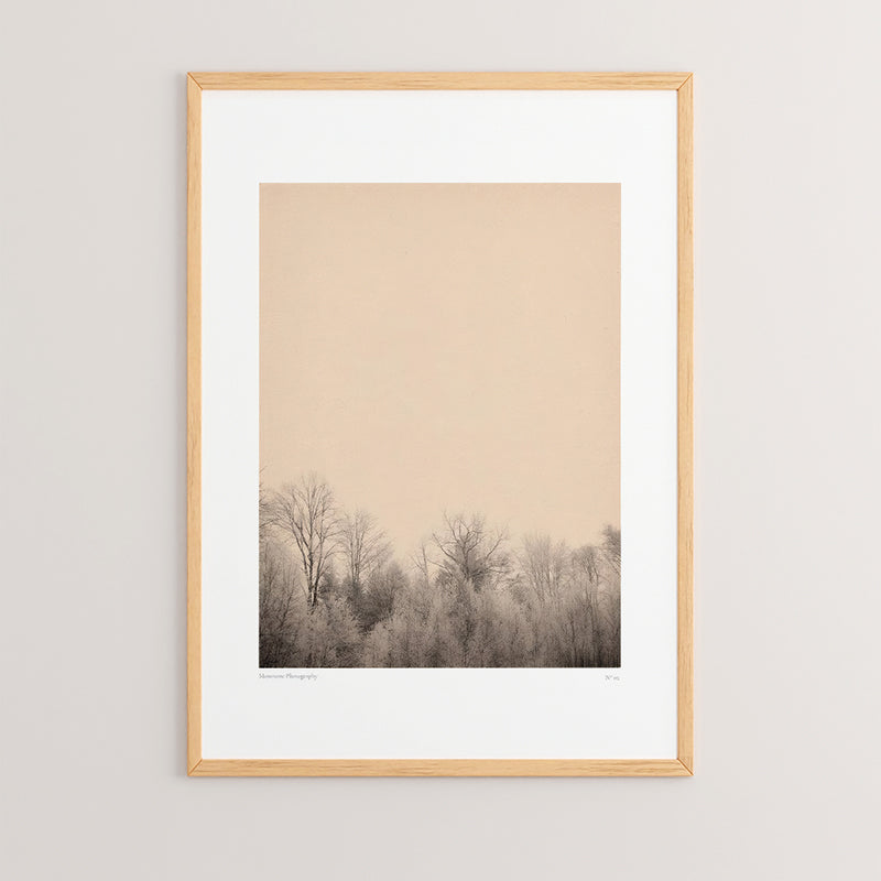 Πίνακας Quany με Ψηφιακή Εκτύπωση και Πλαίσιο 33x1.5x48