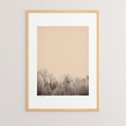 Πίνακας Quany με Ψηφιακή Εκτύπωση και Πλαίσιο 33x1.5x48