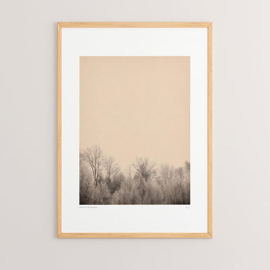 Πίνακας Quany με Ψηφιακή Εκτύπωση και Πλαίσιο 33x1.5x48