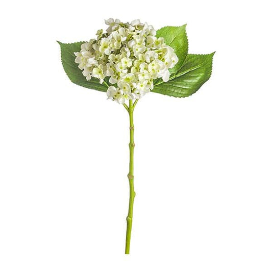 Κλαδί Ορτανσία Κρεμ 44εκ